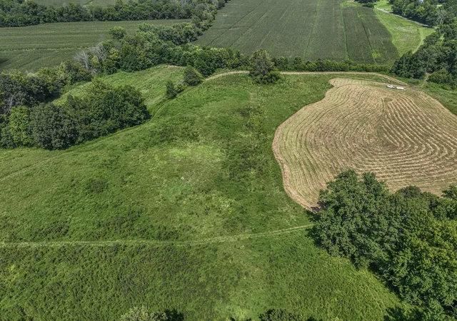 Photo 3 of Land for sale at 00 Adams Rd, Salem, KY 42078 | MLS# 26022295 | Listing updated on 2026-08-17
