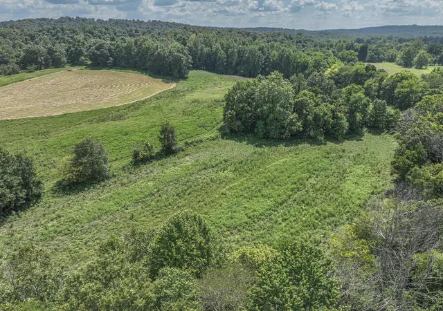 Photo 3 of Land for sale at 00 Adams Rd, Salem, KY 42078 | MLS# 26022295 | Listing updated on 2026-08-17