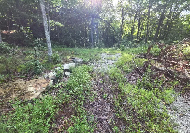 Photo 4 of Land for sale at 2453 Ky 1258, Monticello, KY 42633 | MLS# 26021014 | Listing updated on 2026-08-24