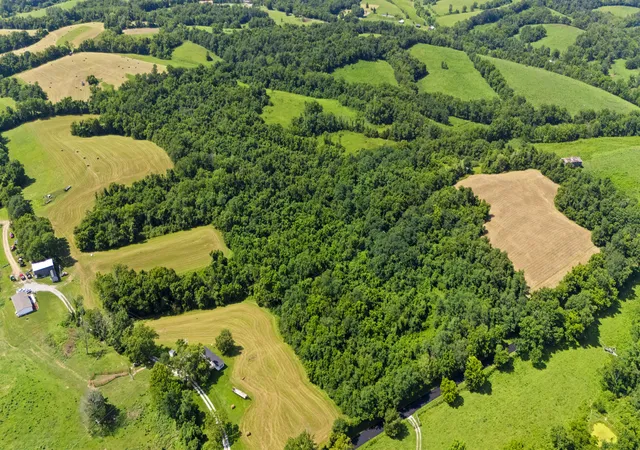 Photo 3 of Land for sale at 223a Plum Lick Rd, Paris, KY 40361 | MLS# 26021682 | Listing updated on 2026-08-11
