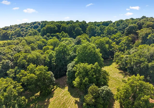Photo 41 of Sale Pending at 2873 Spring Pl Rd, Belfast, TN 37019 | MLS# 26021032 | Listing updated on 2026-08-29
