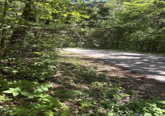 Photo 1 of Land for sale at 5 Acres Pine Tree Cir, Nancy, KY 42544 | MLS# 26022032 | Listing updated on 2026-08-14