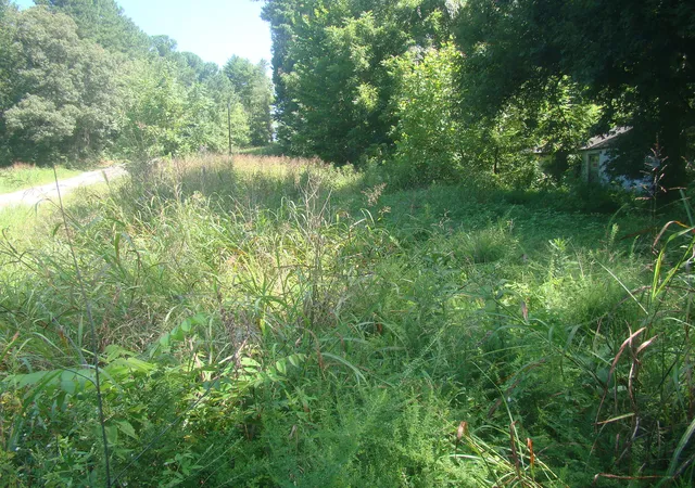 Photo 1 of Land for sale at 3994 4000 Old Dover Rd, Cadiz, KY 42211 | MLS# 26021101 | Listing updated on 2026-08-05