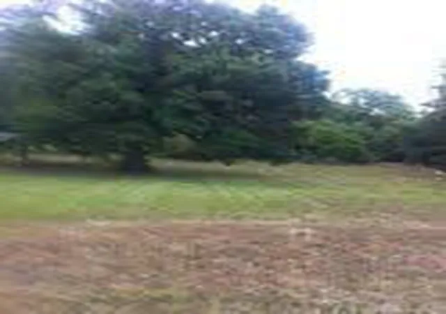 Photo 3 of Land for sale at 2309 Menelaus Rd, Berea, KY 40403 | MLS# 26023033 | Listing updated on 2026-08-24