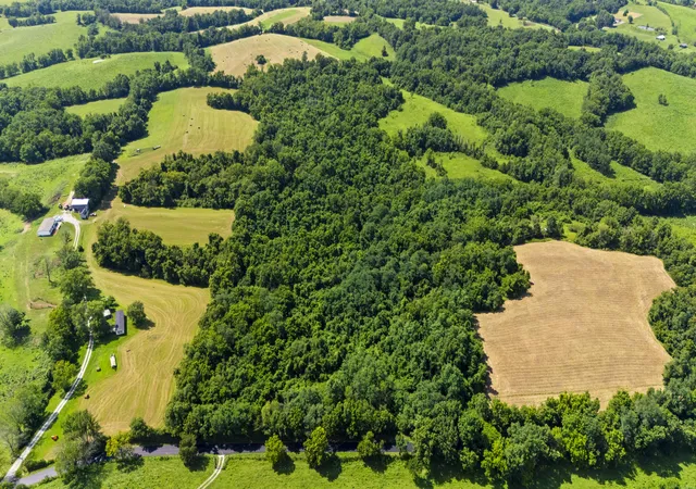 Photo 2 of Land for sale at 223b Plum Lick Rd, Paris, KY 40361 | MLS# 26021684 | Listing updated on 2026-08-11