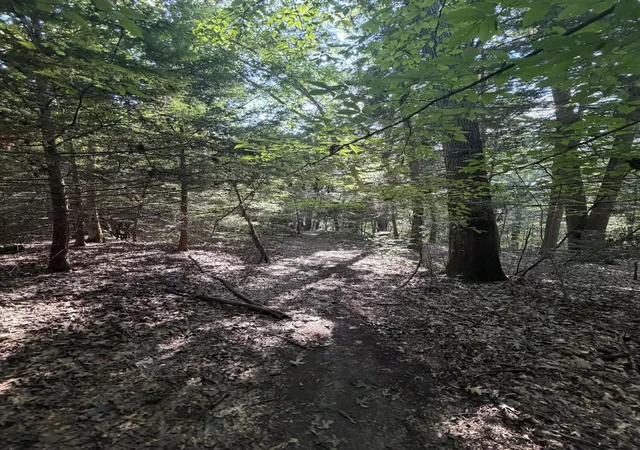 Photo 3 of Land for sale at 580 Riverbend Rd, London, KY 40744 | MLS# 26021197 | Listing updated on 2026-09-09