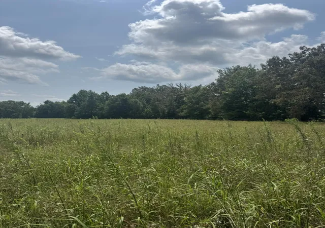 Photo 2 of Land for sale at 4565 State Hwy 76, Russell Springs, KY 42642 | MLS# 26022657 | Listing updated on 2026-08-20