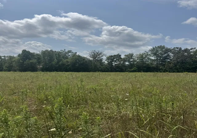 Photo 4 of Land for sale at 4565 State Hwy 76, Russell Springs, KY 42642 | MLS# 26022657 | Listing updated on 2026-08-20