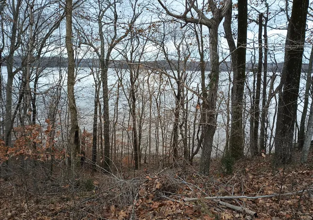 Photo 3 of Land for sale at 327 Night Heron Rd, Cadiz, KY 42211 | MLS# 26021258 | Listing updated on 2026-09-02