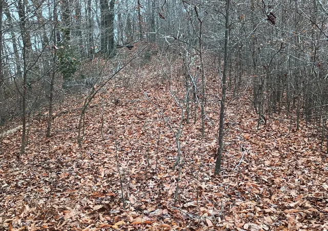 Photo 3 of Land for sale at 327 Night Heron Rd, Cadiz, KY 42211 | MLS# 26021258 | Listing updated on 2026-09-02