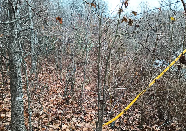 Photo 4 of Land for sale at 327 Night Heron Rd, Cadiz, KY 42211 | MLS# 26021258 | Listing updated on 2026-09-02