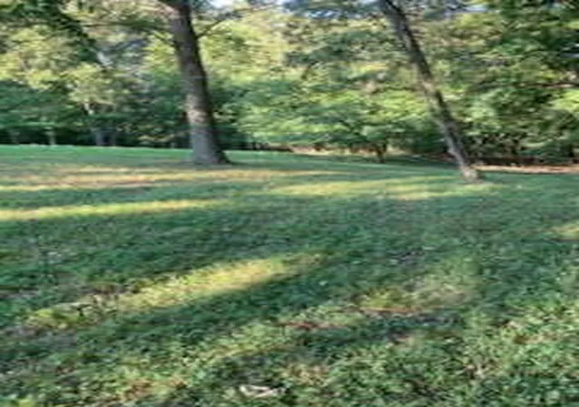 Photo 3 of Land for sale at 4b Shawnee Trl, Cadiz, KY 42211 | MLS# 26021306 | Listing updated on 2026-08-14
