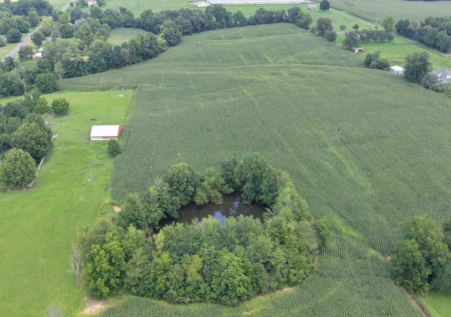Photo 9 of Sale Pending at 0 Luther Rd, Mayfield, KY 42066 | MLS# 26021567 | Listing updated on 2026-09-10