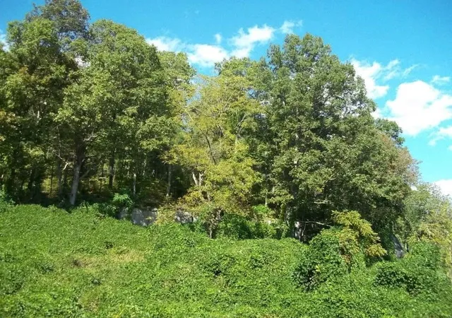 Photo 1 of Land for sale at 8888 Hales Frk Rd, Dewitt, KY 40930 | MLS# 26021305 | Listing updated on 2026-08-17