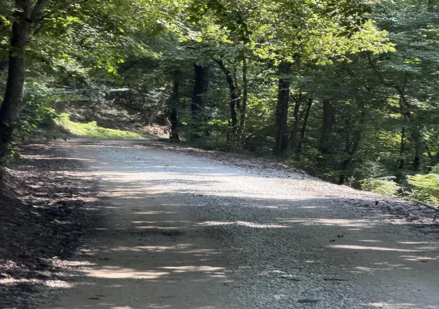 Photo 2 of Land for sale at 8888 Hales Frk Rd, Dewitt, KY 40930 | MLS# 26021305 | Listing updated on 2026-08-17