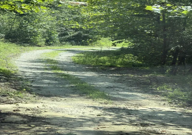 Photo 3 of Land for sale at 8888 Hales Frk Rd, Dewitt, KY 40930 | MLS# 26021305 | Listing updated on 2026-08-17