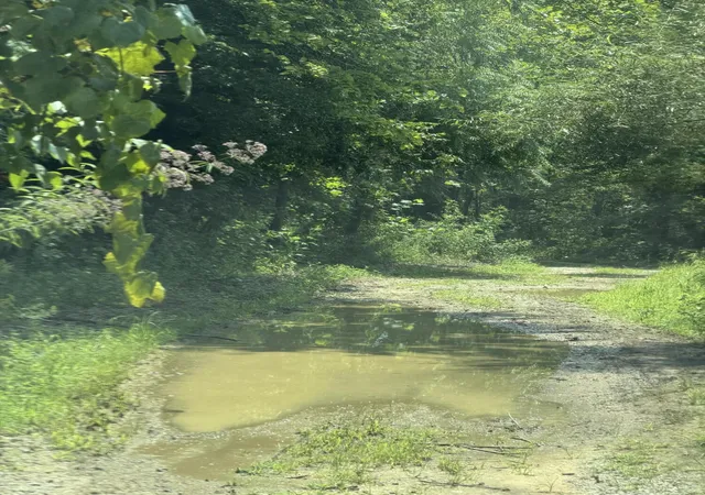 Photo 3 of Land for sale at 8888 Hales Frk Rd, Dewitt, KY 40930 | MLS# 26021305 | Listing updated on 2026-08-17