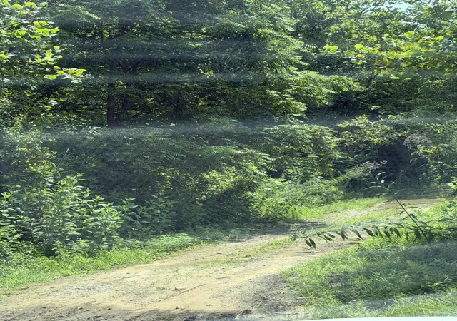 Photo 4 of Land for sale at 8888 Hales Frk Rd, Dewitt, KY 40930 | MLS# 26021305 | Listing updated on 2026-08-17