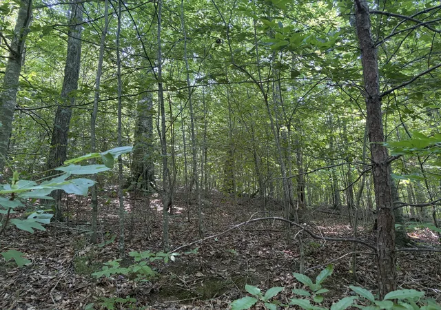 Photo 3 of Land for sale at 28 Squib Ano Rd, Somerset, KY 42501 | MLS# 26021364 | Listing updated on 2026-08-11
