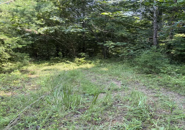 Photo 3 of Land for sale at 28 Squib Ano Rd, Somerset, KY 42501 | MLS# 26021364 | Listing updated on 2026-08-11