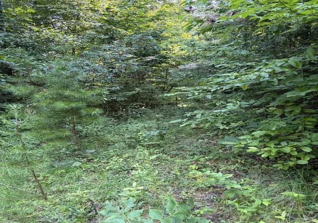 Photo 4 of Land for sale at 28 Squib Ano Rd, Somerset, KY 42501 | MLS# 26021364 | Listing updated on 2026-08-11