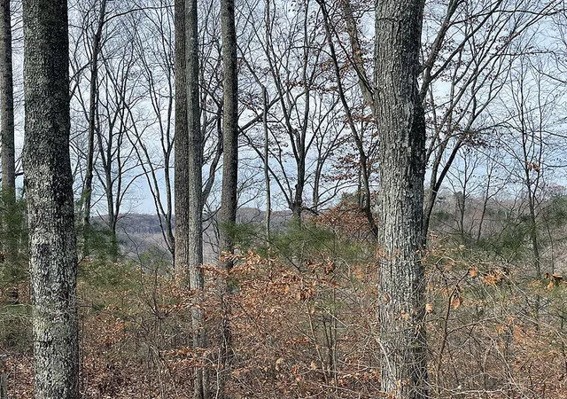 Photo 1 of Land for sale at Lot 84 Stillwater, Russell Springs, KY 42642 | MLS# 26021326 | Listing updated on 2026-09-03