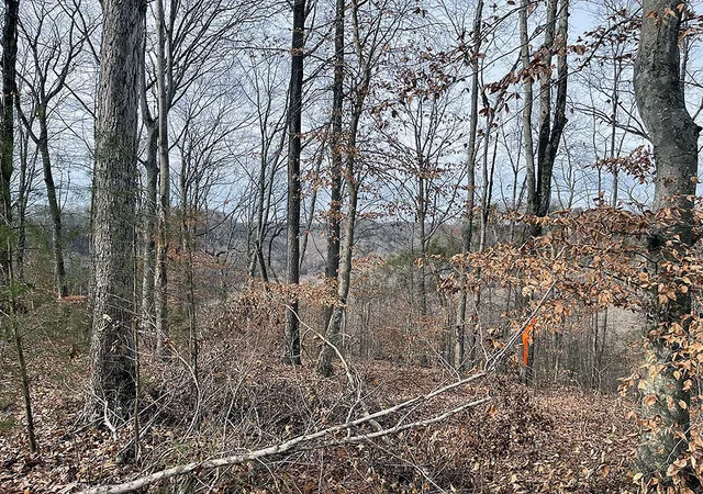 Photo 2 of Land for sale at Lot 84 Stillwater, Russell Springs, KY 42642 | MLS# 26021326 | Listing updated on 2026-09-03