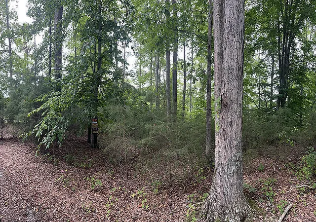 Photo 3 of Land for sale at Lot 84 Stillwater, Russell Springs, KY 42642 | MLS# 26021326 | Listing updated on 2026-09-03