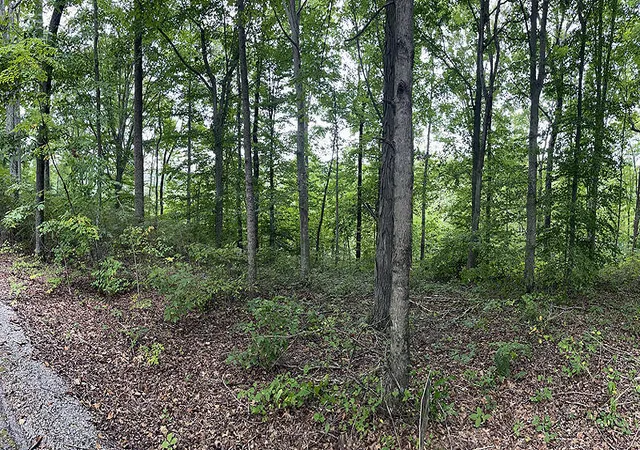 Photo 4 of Land for sale at Lot 84 Stillwater, Russell Springs, KY 42642 | MLS# 26021326 | Listing updated on 2026-09-03
