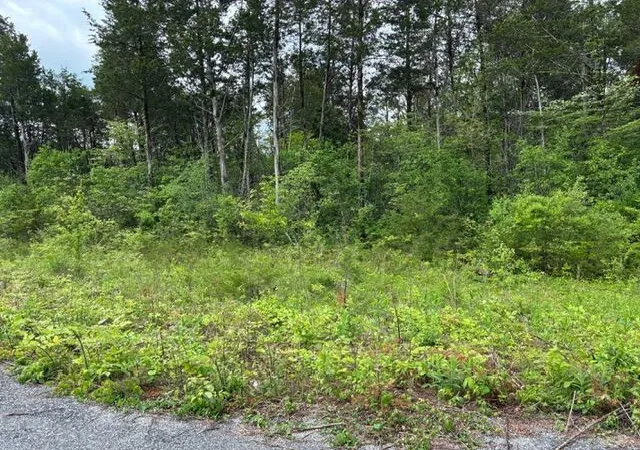 Photo 3 of Land for sale at 33 Crescent Ct, Lawrenceburg, KY 40342 | MLS# 26021329 | Listing updated on 2026-08-07