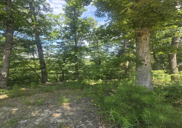 Photo 1 of Land for sale at 9999 Millstone Rd, Clay City, KY 40312 | MLS# 26021604 | Listing updated on 2026-09-03
