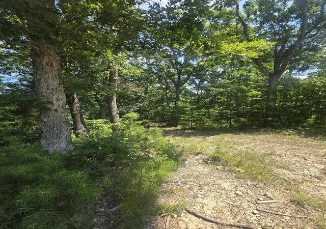 Photo 2 of Land for sale at 9999 Millstone Rd, Clay City, KY 40312 | MLS# 26021604 | Listing updated on 2026-09-03