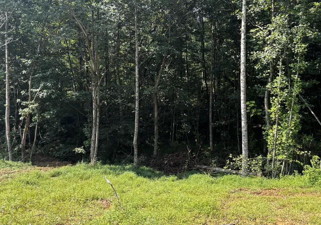 Photo 2 of Land for sale at 0 Speck Rd, Albany, KY 42602 | MLS# 26021417 | Listing updated on 2026-08-08
