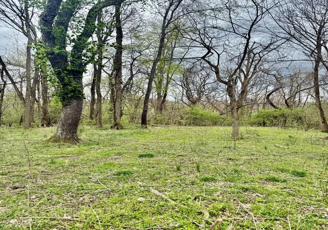 Photo 3 of Land for sale at 4091 Akin Ln, Burlington, KY 41005 | MLS# 26021420 | Listing updated on 2026-08-08