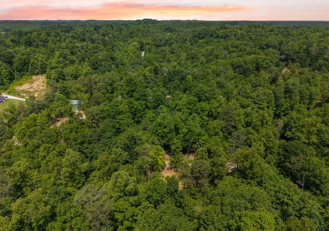 Photo 4 of Land for sale at 35 Low Ridge Rd, Campton, KY 41301 | MLS# 26021497 | Listing updated on 2026-10-13