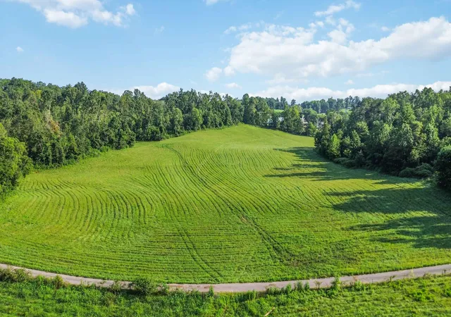 Photo 1 of Land for sale at 21 Acres Dug Rd, Monticello, KY 42633 | MLS# 26021840 | Listing updated on 2026-10-08
