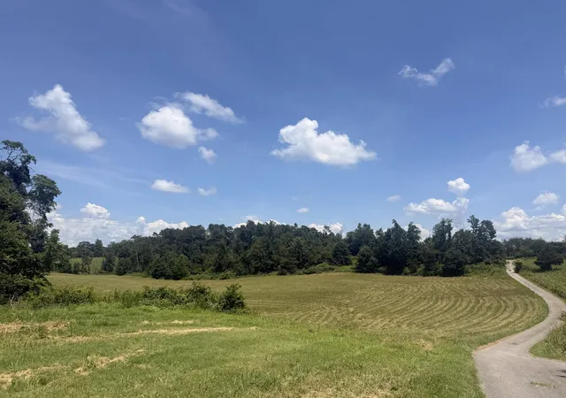 Photo 3 of Land for sale at 21 Acres Dug Rd, Monticello, KY 42633 | MLS# 26021840 | Listing updated on 2026-10-08
