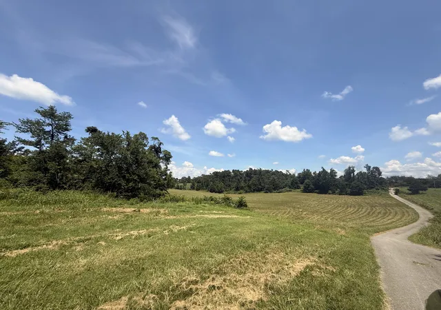 Photo 4 of Land for sale at 21 Acres Dug Rd, Monticello, KY 42633 | MLS# 26021840 | Listing updated on 2026-10-08