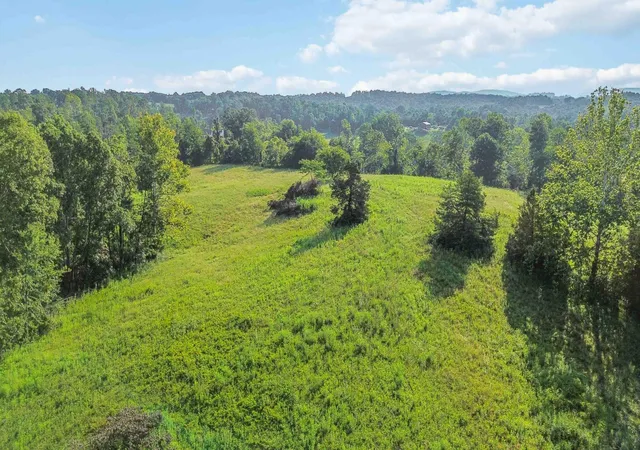 Photo 4 of Land for sale at 41 Acres Dug Rd, Monticello, KY 42633 | MLS# 26021850 | Listing updated on 2026-10-09