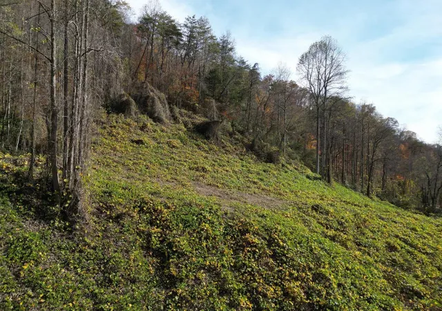 Photo 13 of Land for sale at 0 Sugar Camp Branch Rd, Robinson Creek, KY 41560 | MLS# 26021576 | Listing updated on 2026-08-10