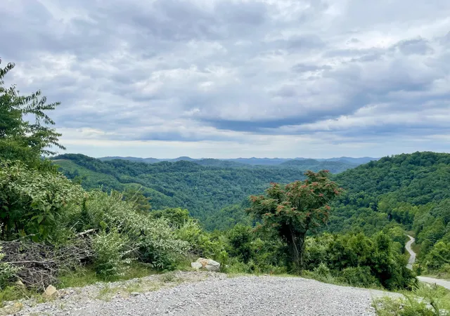 Photo 2 of Land for sale at 0 Sugar Camp Branch Rd, Robinson Creek, KY 41560 | MLS# 26021576 | Listing updated on 2026-08-10