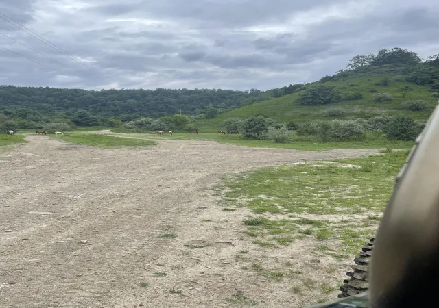 Photo 2 of Land for sale at 0 Sugar Camp Branch Rd, Robinson Creek, KY 41560 | MLS# 26021576 | Listing updated on 2026-08-10
