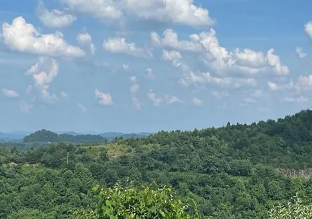 Photo 4 of Land for sale at 0 Sugar Camp Branch Rd, Robinson Creek, KY 41560 | MLS# 26021576 | Listing updated on 2026-08-10