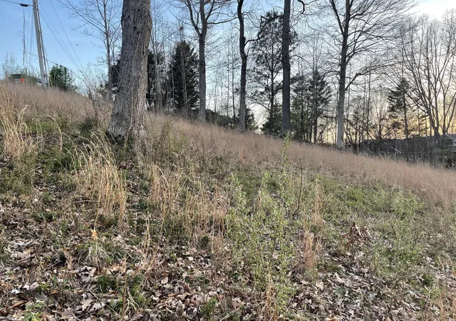 Photo 3 of Land for sale at Lots 10-11 Pollard Cir, Cadiz, KY 42211 | MLS# 26021635 | Listing updated on 2026-08-19