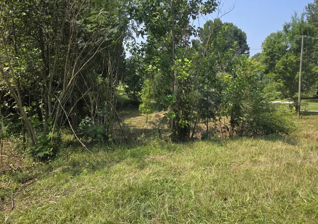 Photo 1 of Land for sale at 0 Dean King Rd, Pine Knot, KY 42635 | MLS# 26022274 | Listing updated on 2026-08-17