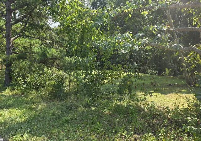 Photo 23 of Land for sale at 0 Dean King Rd, Pine Knot, KY 42635 | MLS# 26022274 | Listing updated on 2026-08-17