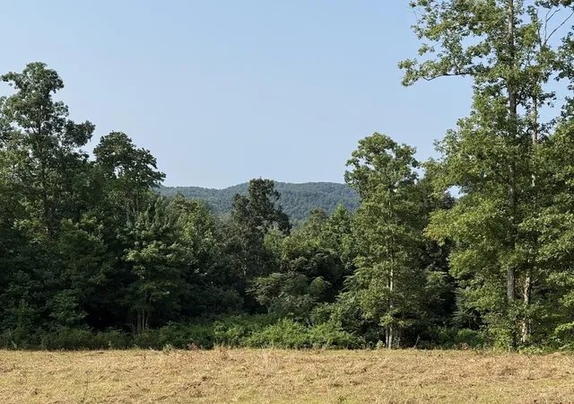 Photo 2 of Sale Pending at 999 Trillium Trl, Livingston, KY 40445 | MLS# 26021791 | Listing updated on 2026-08-21