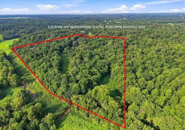 Photo 3 of Land for sale at 55 Acres Bill Thompson Rd, Kuttawa, KY 42055 | MLS# 26022663 | Listing updated on 2026-08-20