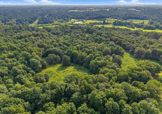 Photo 4 of Land for sale at 55 Acres Bill Thompson Rd, Kuttawa, KY 42055 | MLS# 26022663 | Listing updated on 2026-08-20