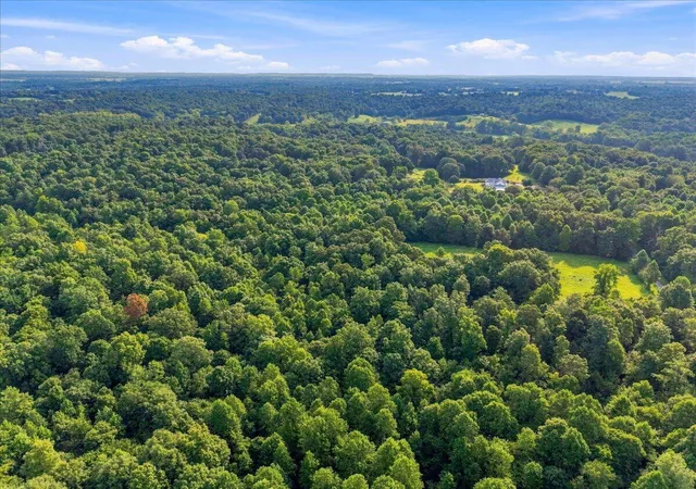 Photo 3 of Land for sale at 20 Acres Bill Thompson Rd, Kuttawa, KY 42055 | MLS# 26022656 | Listing updated on 2026-08-20